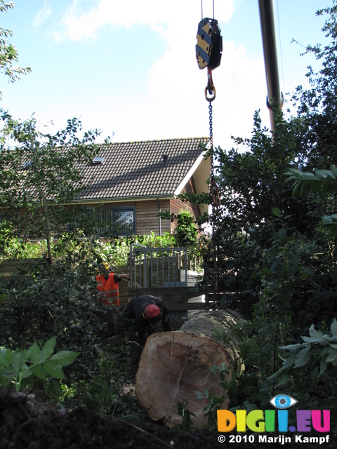 SX16449 Big crane lifting fallen over tree trunk in Soest.jpg